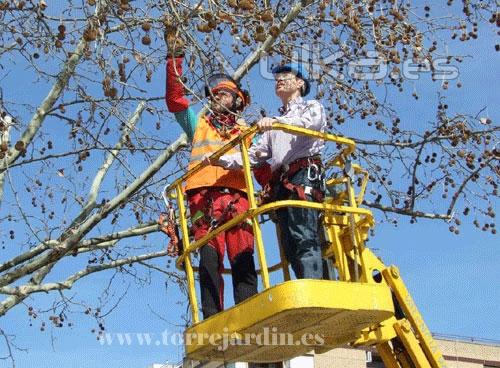 Empresa de jardineria en granada  : TORREJARDIN