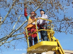 Empresa de jardineria en granada  : TORREJARDIN