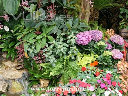 empresa de mantenimioentos de  jardineria en granada  : TORREJARDIN