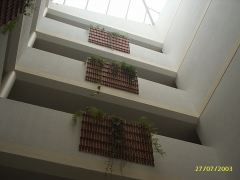 Patio de luces