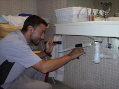 Tratamiento de cucarachas