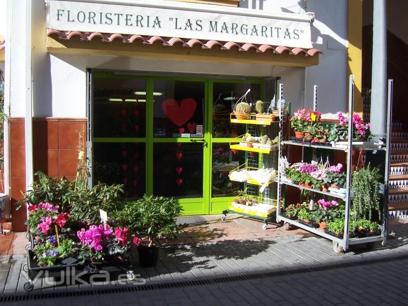 Estamos situados en la Plaza Jos Jimnez Lpez Vzquez.n7.Peligros .Granada.