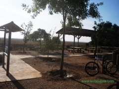 Escapadas en bicicleta por las tierras de La Mancha