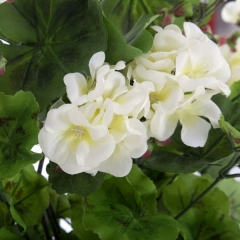 Planta artificial flores geranios blancos 55 en lallimonacom (detalle 1)