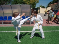 Foto 833 centros deportivos - Maestro de Artes Marciales y Defensa Personal Juan Carlos Bosch