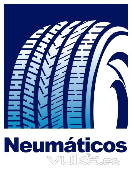 programa gestion talleres de neumaticos y mecanica del automovil