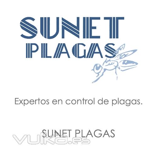 CONTROL DE PLAGAS. Desratizacin, desinsectacin y desinfeccin profesional.