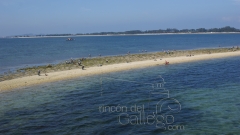 Mariscadoras en illa de arousa wwwrincondelgallegocom
