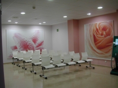 Cuadros en textil canvas e imagen en impresin digital hospital general. rtulos cebra.