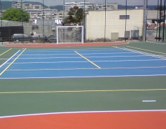 Pista deportiva, sistema pro