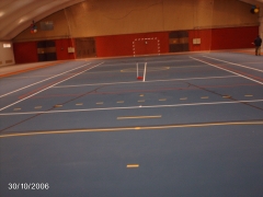 Pista polideportiva interior