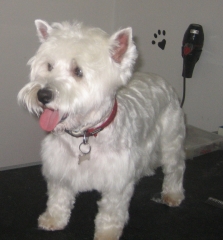 Lula con su nuevo y renovado look guapa, guapa