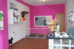 Nuestra pelu: guarderia de dias para perros pequenos y al fondo, podras ver como trabajamos