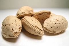 ALMENDRA EN CÁSCARA. Procedente de nuestra explotación familiar en Teruel. 1EUR/kg