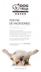 Cartel lanzamiento