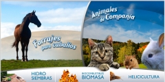 Caballos-Caracoles-Animales de compañia-hidrosiembras COMINTER