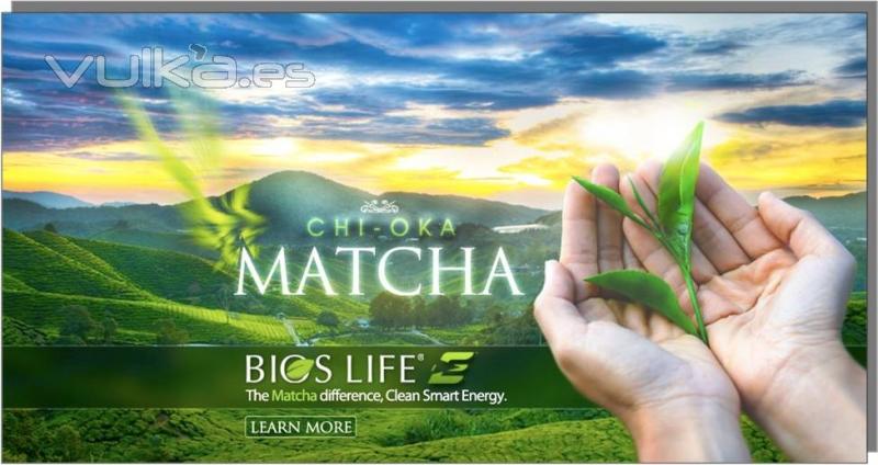 Bios Life Matcha