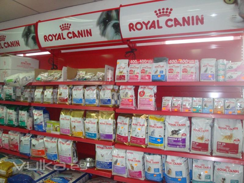 ROYAL CANIN