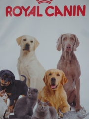 Royal canin