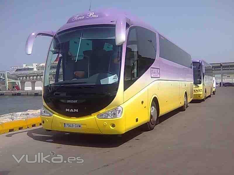 autobuses de ultima generacion equipados con cinturones de seguridad