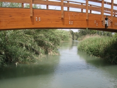 Puente sobre el rio turia
