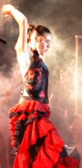 Flamenco jp morgan
