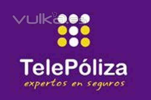 Telepliza, expertos en seguro.