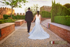 Boda al oleo, wedding oil painter, foto pintura