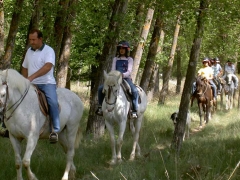 Rutas y paseos a caballo en cuenca