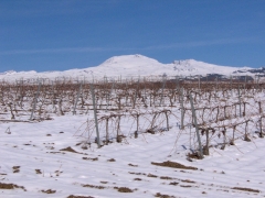 Foto 15 vinos en Granada - Barranco Oscuro