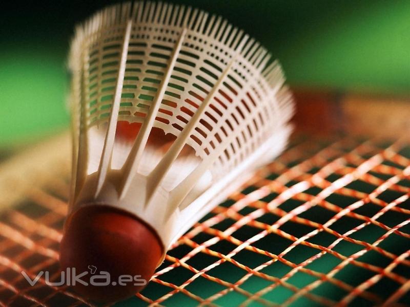 redes y accesorios para badminton