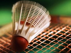Redes y accesorios para badminton