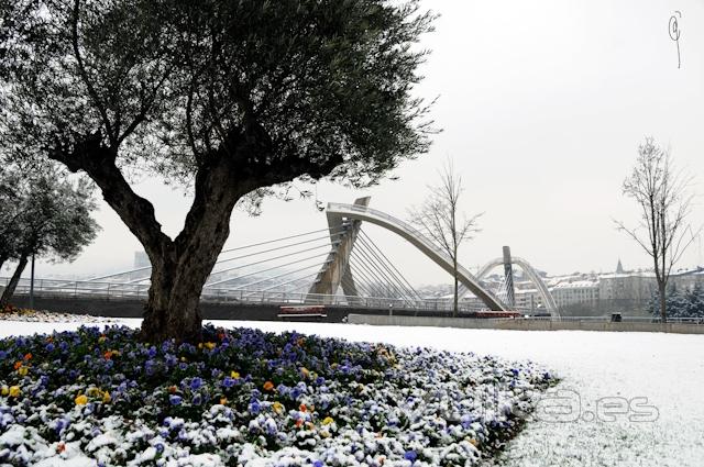 Nieve en el Milenio