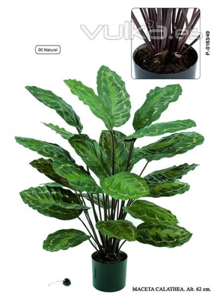 Plantas artificiales de calidad. Calathea artificial oasisdecor.com