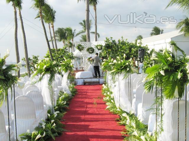 Vorec wedding planner & Oficiante de ceremonias civiles