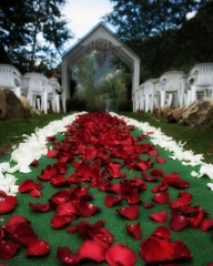 Vorec wedding planner & oficiante de ceremonias civiles - foto 2