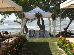 Vorec wedding planner & oficiante de ceremonias civiles - foto 20