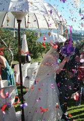 Vorec wedding planner & oficiante de ceremonias civiles - foto 23