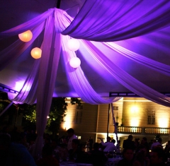 Vorec wedding planner & oficiante de ceremonias civiles - foto 26
