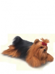 Peluche perro oasisdecorcom peluches de calidad