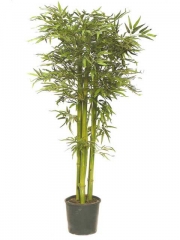 Articoencasacom - arbol bambu con tronco natural en color verde, 180 m