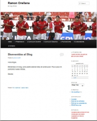 Blog profesional de ramon orellana
