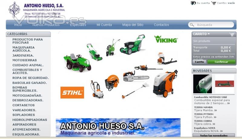 www.antoniohuesosa.es