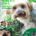 2  Revista ANFA Julio (Revista Informativa y Educativa de Etologia Canina)