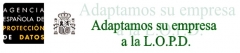 # adaptacin de su empresa a la lopd ( ley organica de proteccin de datos)