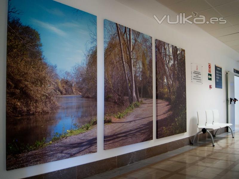 Fotografas en gran formato impresas sobre lienzo.  Hospital La Magdalena Castelln