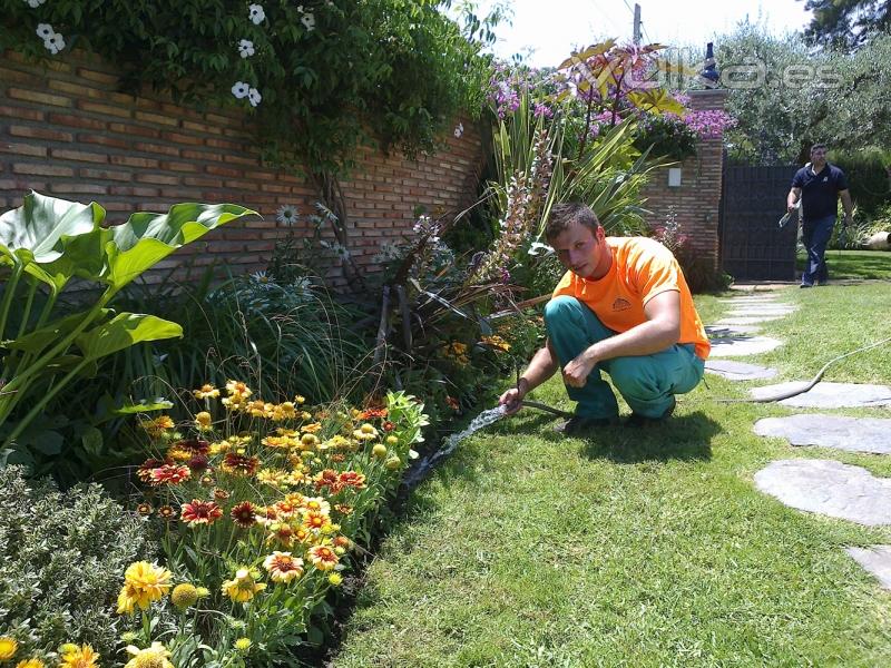 cuidado de jardines