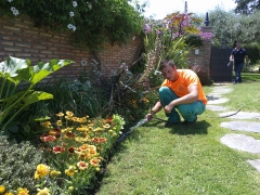 Cuidado de jardines