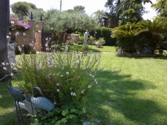Mantenimiento de jardines
