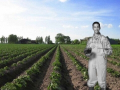 Tierra de cultivo objeto del deseo